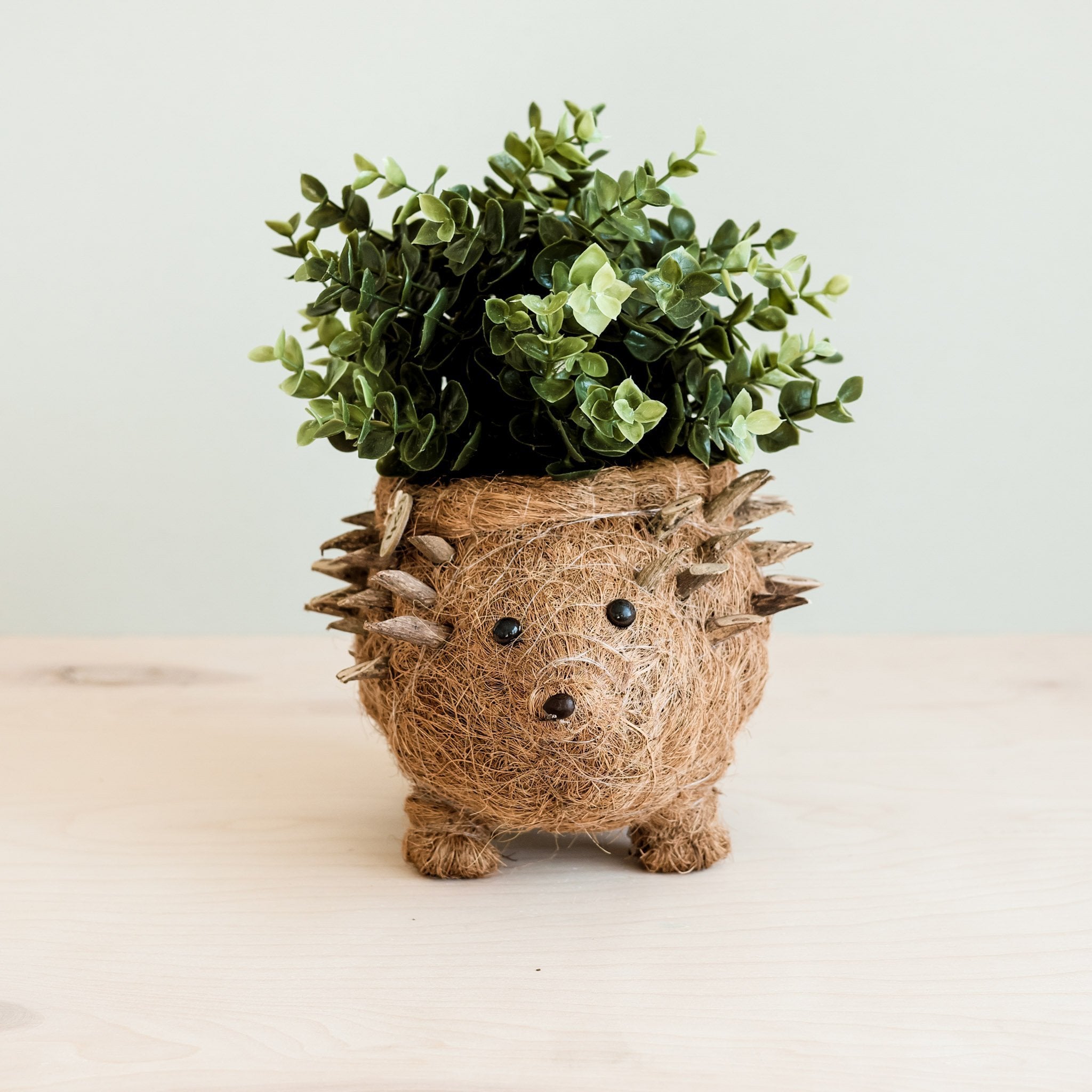 Planters - Hedgehog Planter - Coco Planter| LIKHÂ - LIKHÂ