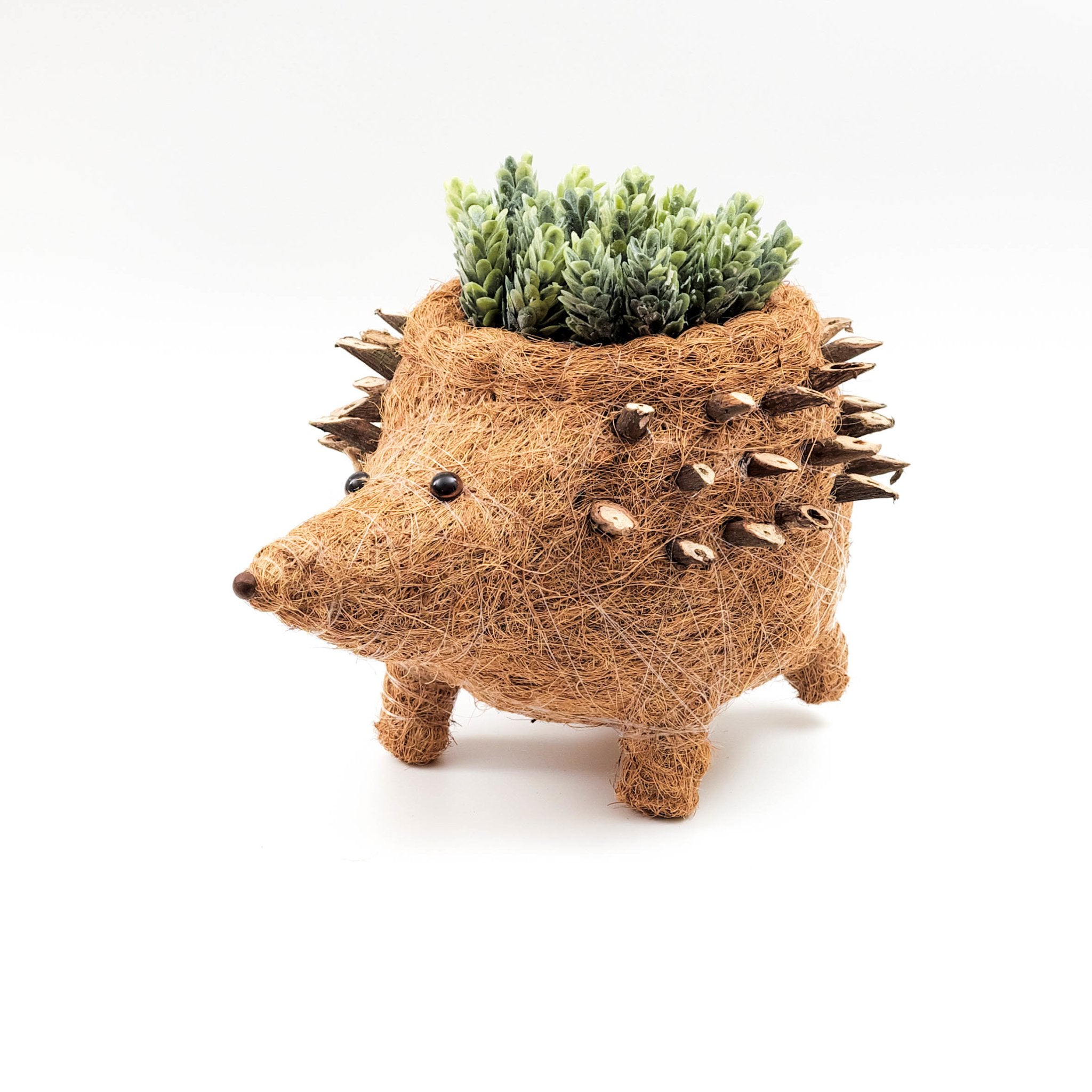 Planters - Hedgehog Planter - Coco Planter| LIKHÂ - LIKHÂ