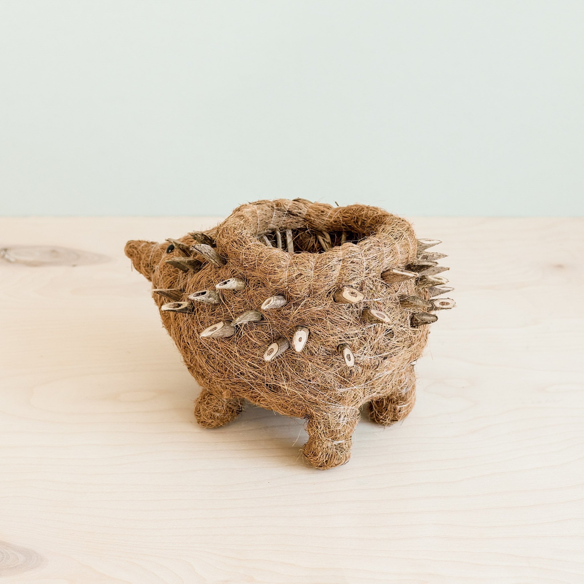 Planters - Hedgehog Planter - Coco Planter| LIKHÂ - LIKHÂ