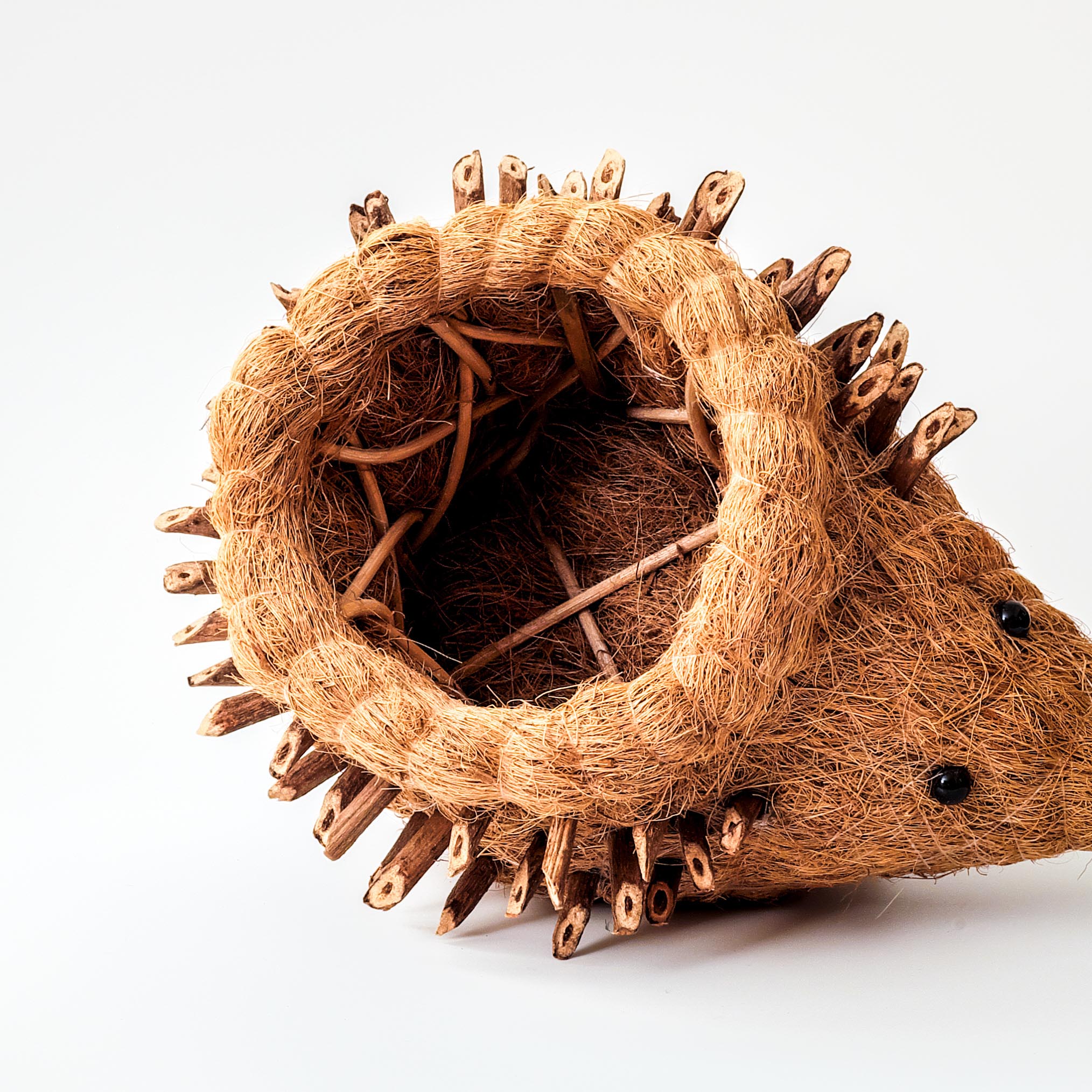 Planters - Hedgehog Planter - Coco Planter| LIKHÂ - LIKHÂ