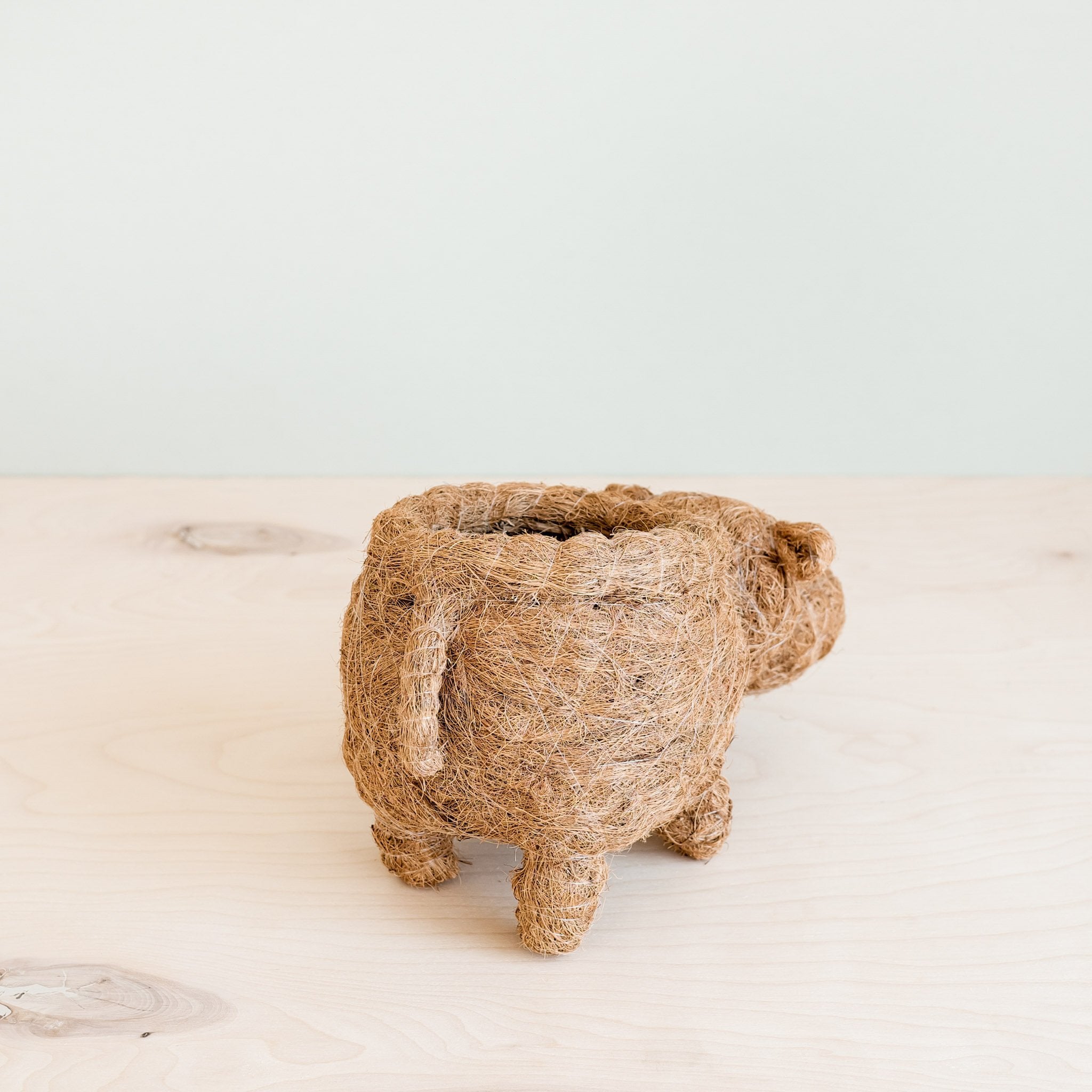 Planters - Hippo Planter - Coco Planter | LIKHÂ - LIKHÂ