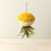 Planters - Jellyfish Air Planter - Handmade Planters | LIKHÂ - LIKHÂ