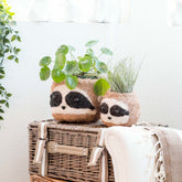 Planters - Large three-tone Sloth - Coco Coir Pots (6 inch) | LIKHÂ - LIKHÂ