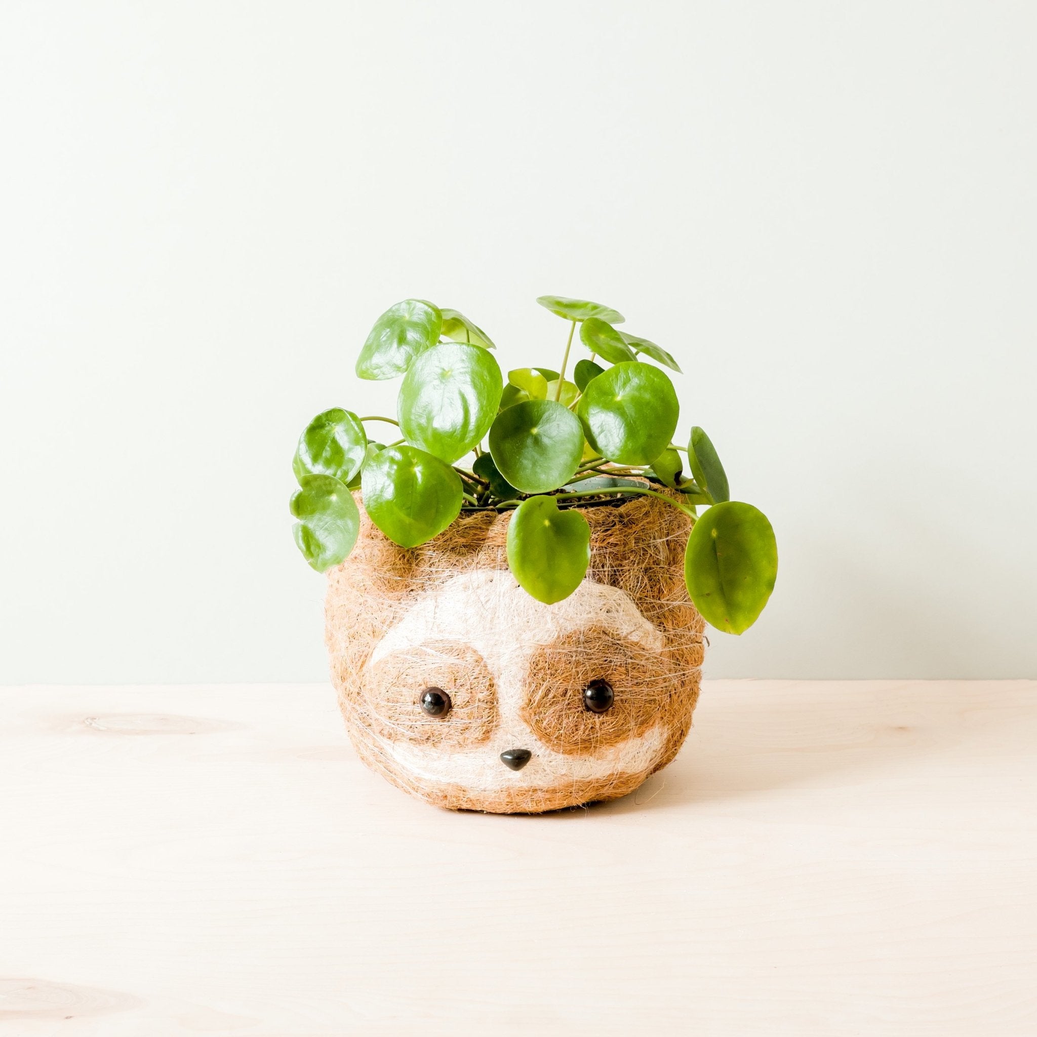 6in plant pot LIKHA Sloth Coco Coir Planter Pot, Light, 6-in