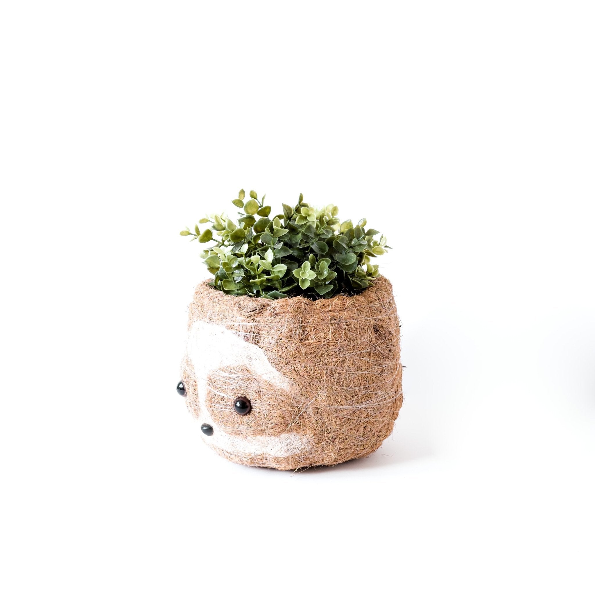 Planters - Large two-tone Sloth - Coco Coir Pots (6 inch) | LIKHÂ - LIKHÂ