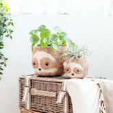 Planters - Large two-tone Sloth - Coco Coir Pots (6 inch) | LIKHÂ - LIKHÂ