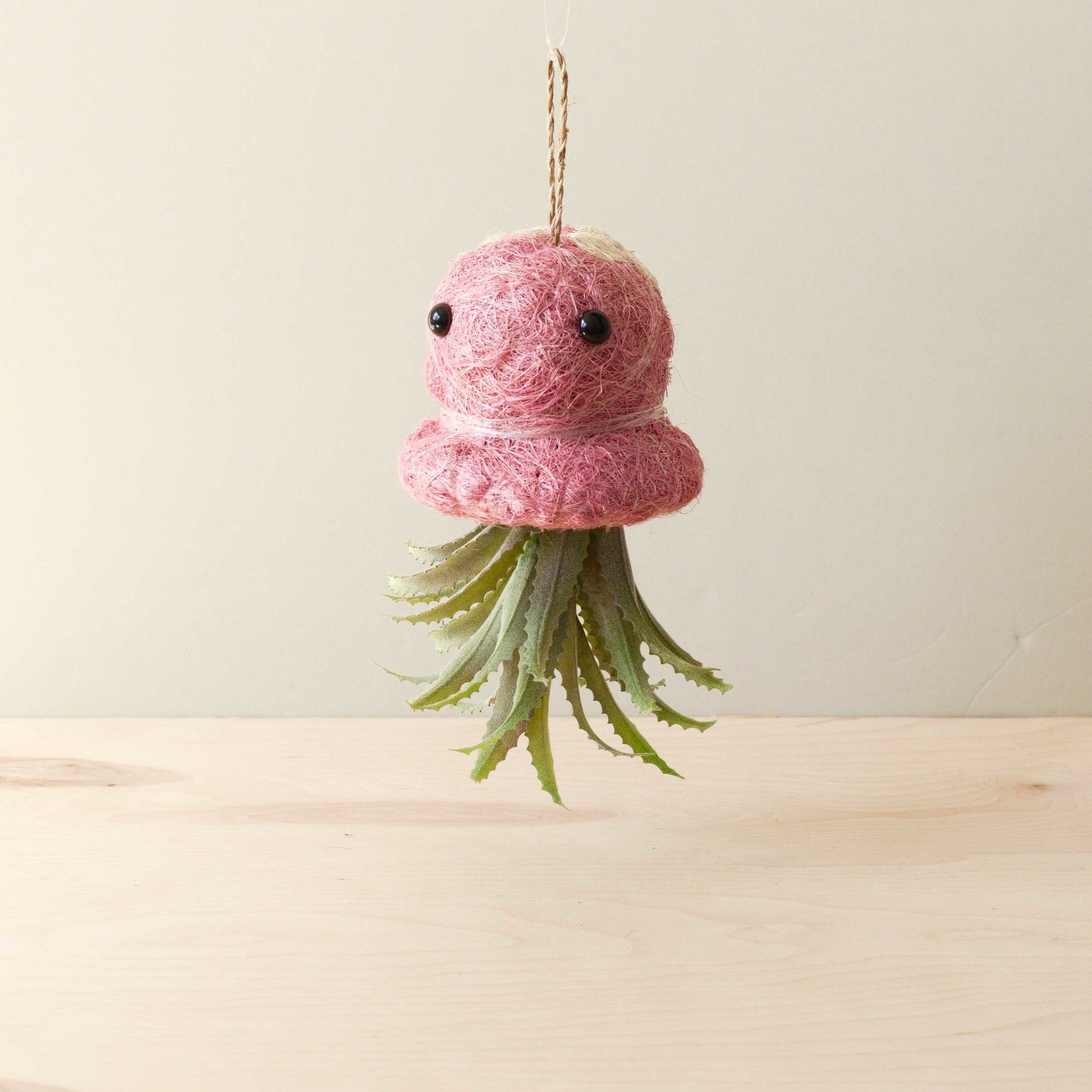 planters for air plants Octopus Planter for Air Plants