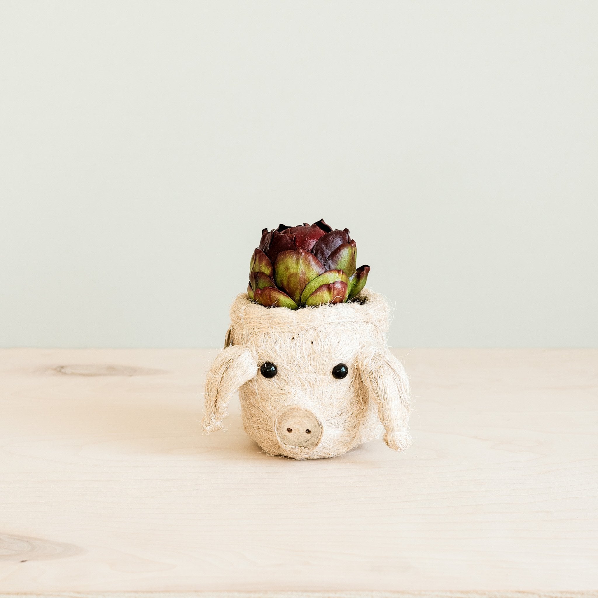 Planters - Pig Plant Pot - Animal Head Plant Pot | LIKHÂ - LIKHÂ