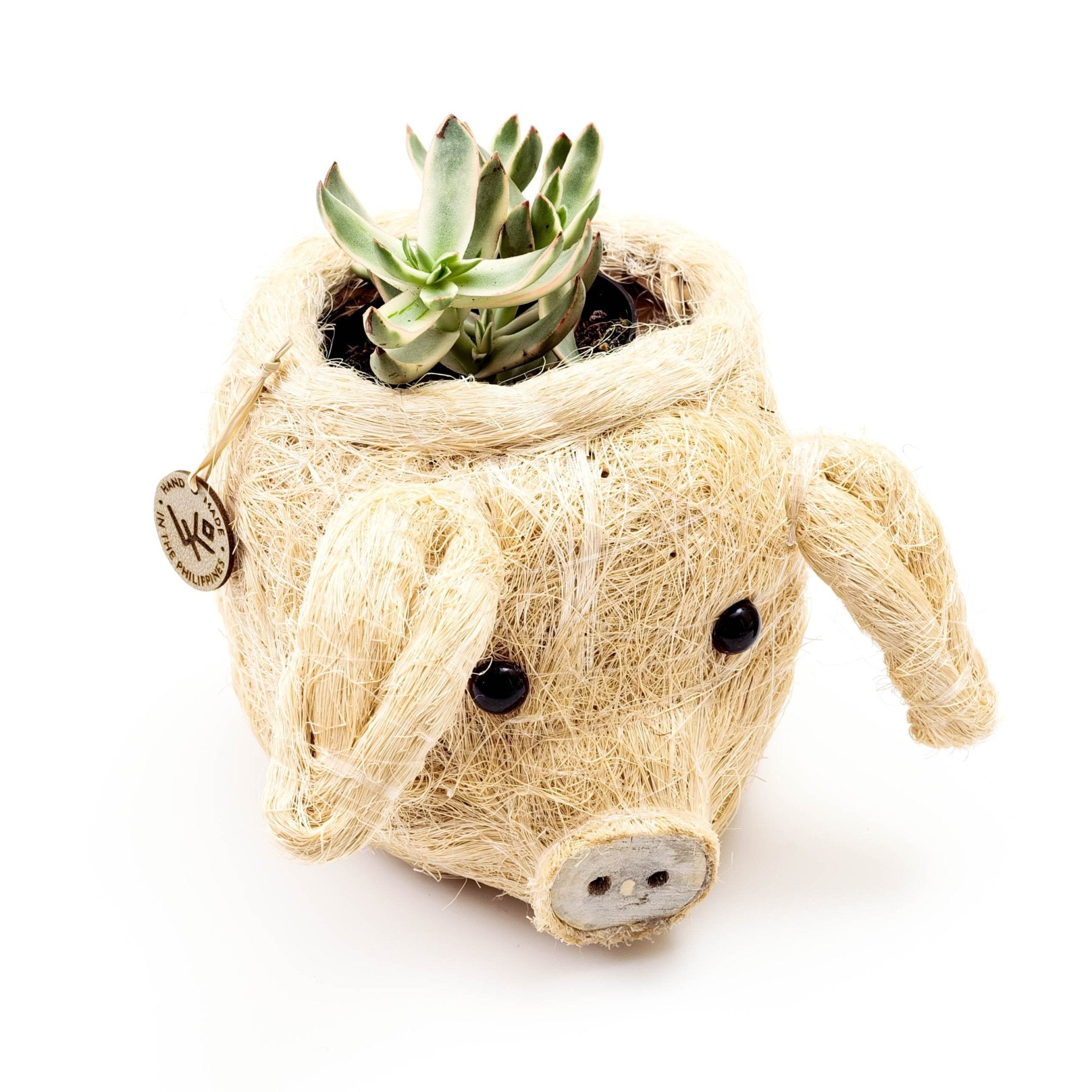 Planters - Pig Plant Pot - Animal Head Plant Pot | LIKHÂ - LIKHÂ