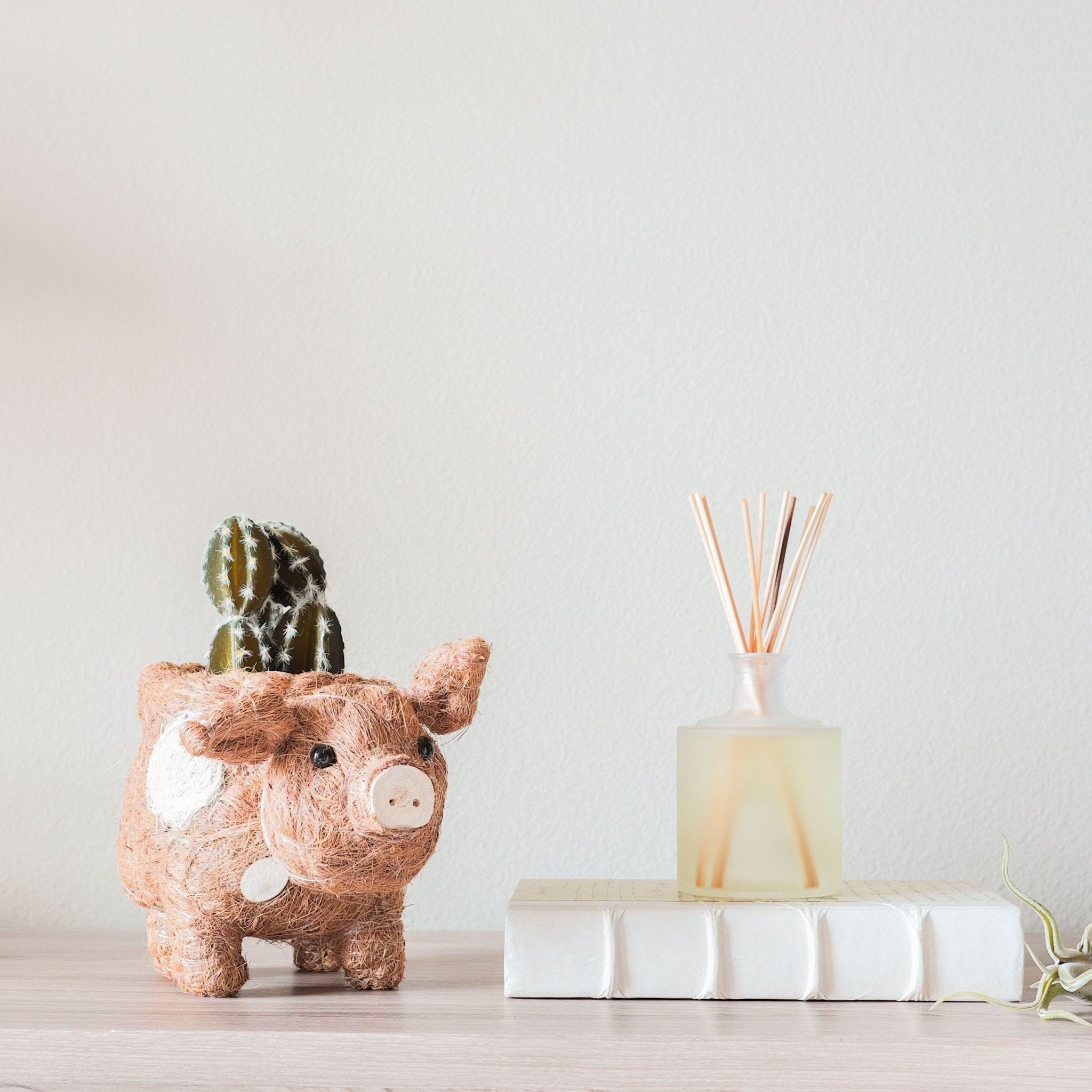 coir plant pots wholesale Pig Planter