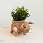 Planters - Pig Planter - Coco Coir Pots| LIKHÂ - LIKHÂ