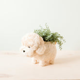 Planters - Poodle Planter - Coco Coir Pots | LIKHÂ - LIKHÂ