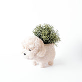 Planters - Poodle Planter - Coco Coir Pots | LIKHÂ - LIKHÂ