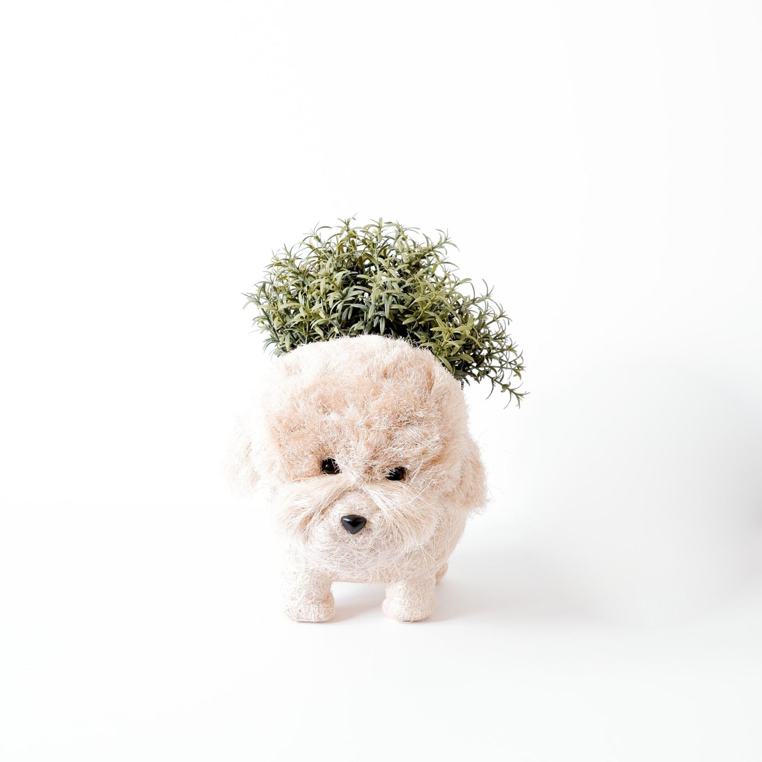 Planters - Poodle Planter - Coco Coir Pots | LIKHÂ - LIKHÂ