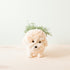 Planters - Poodle Planter - Coco Coir Pots | LIKHÂ - LIKHÂ