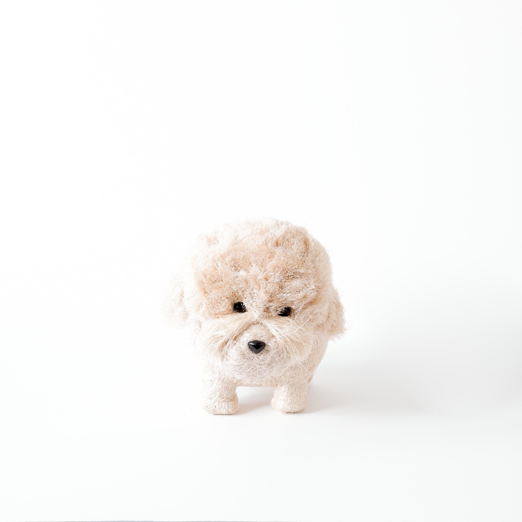 Planters - Poodle Planter - Coco Coir Pots | LIKHÂ - LIKHÂ