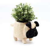 Planters - Pug Planter - Coco Coir Pots | LIKHÂ - LIKHÂ