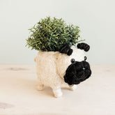 Planters - Pug Planter - Coco Coir Pots | LIKHÂ - LIKHÂ