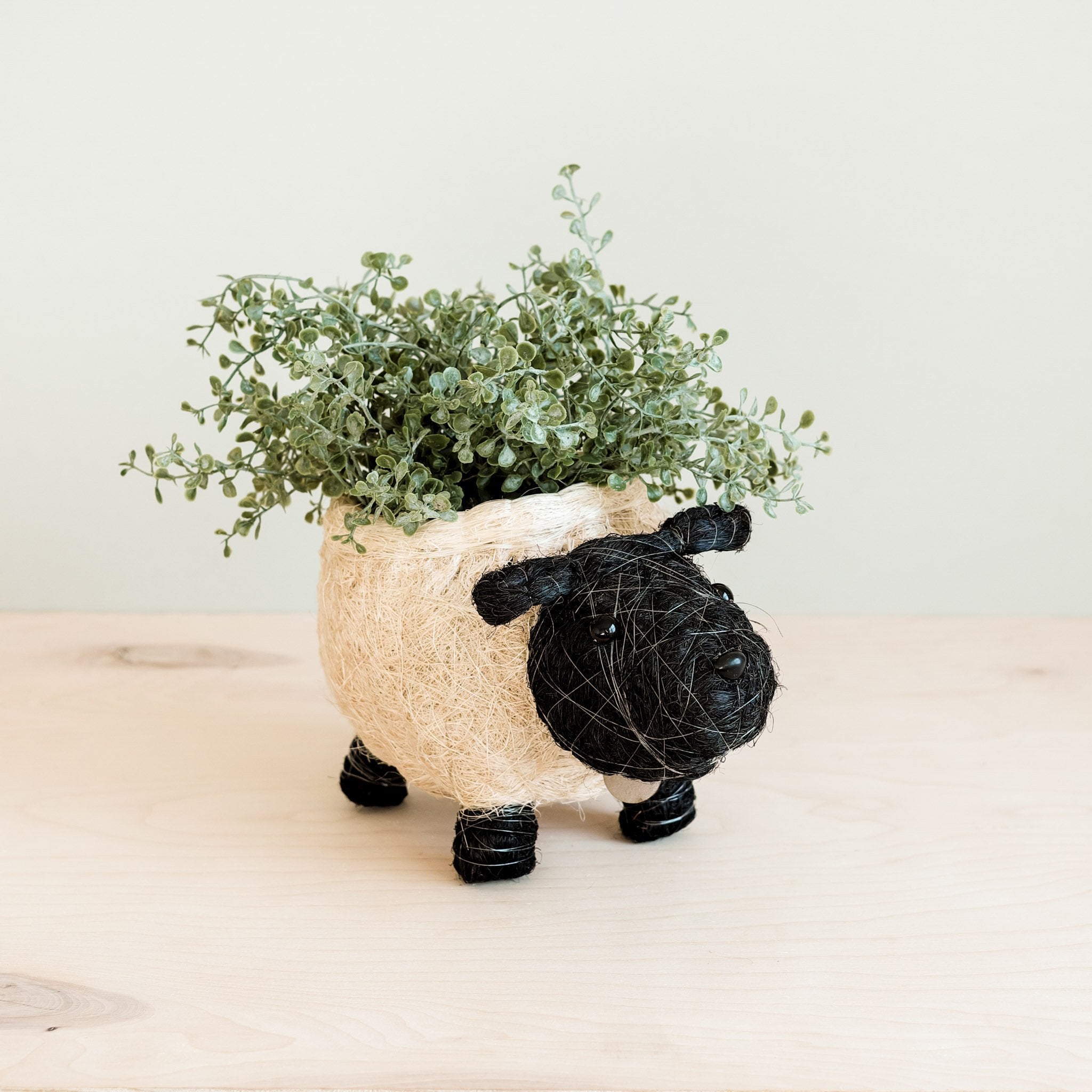 coco pots for plants Sheep Planter