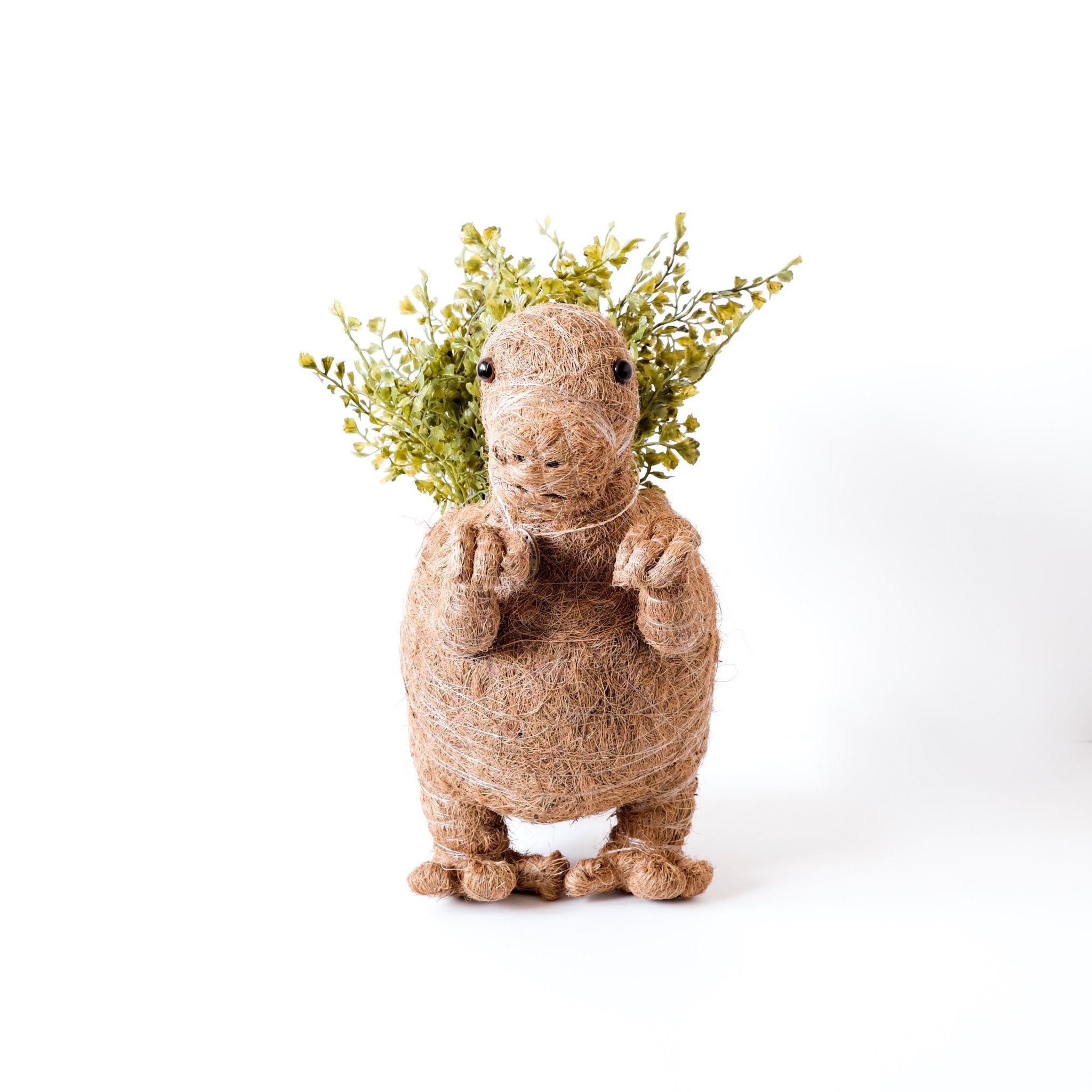 Planters - T-Rex Planter - Coco Coir Pots | LIKHÂ - LIKHÂ