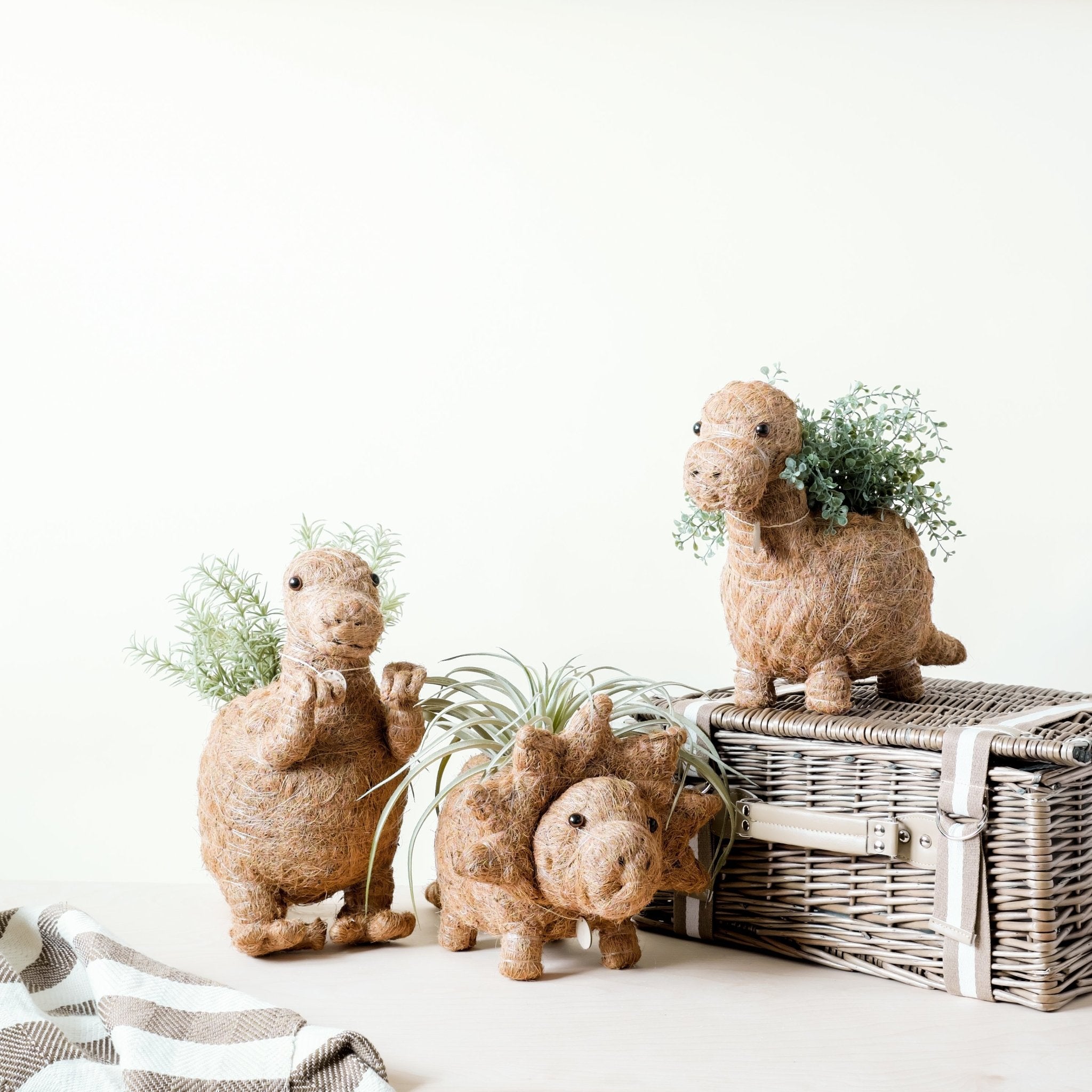 Planters - T-Rex Planter - Coco Coir Pots | LIKHÂ - LIKHÂ