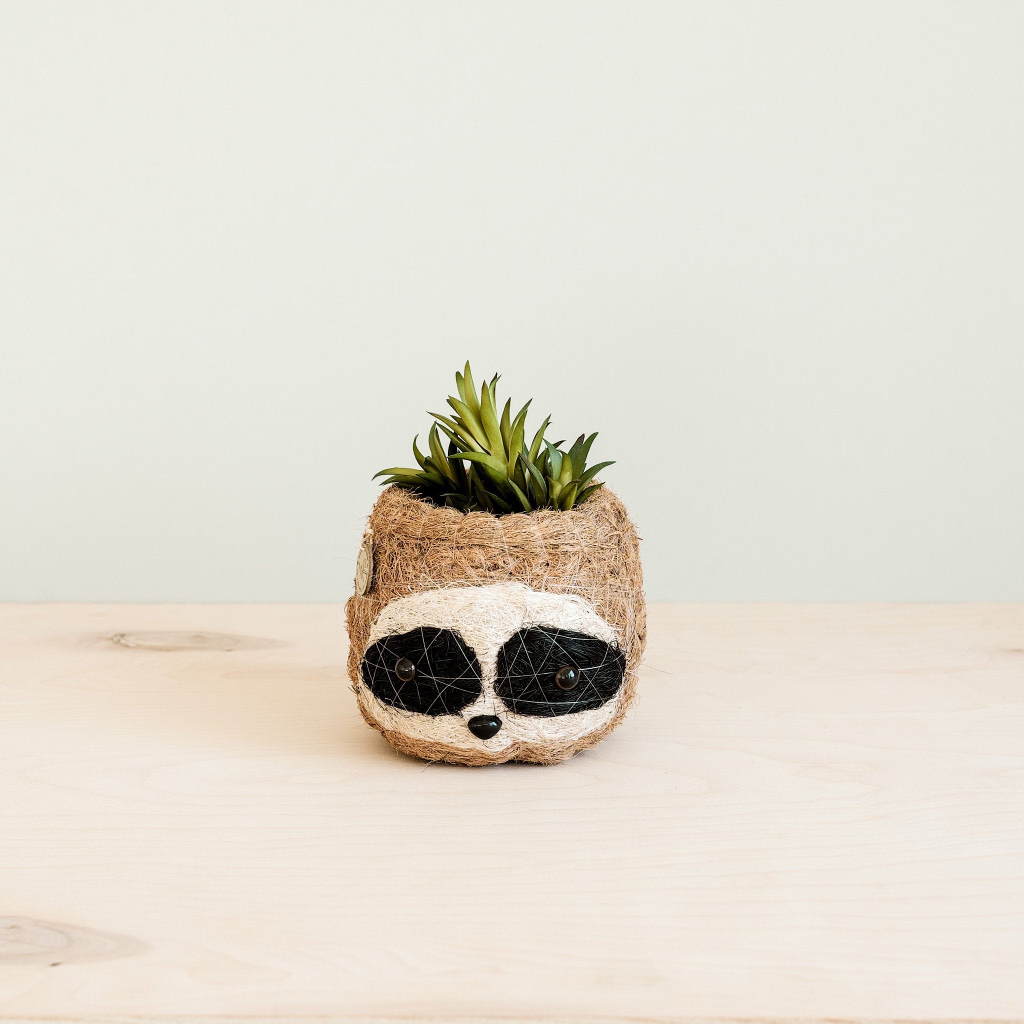 sloth pot plant Three-tone Sloth Coco Coir Planter - Handmade Planters