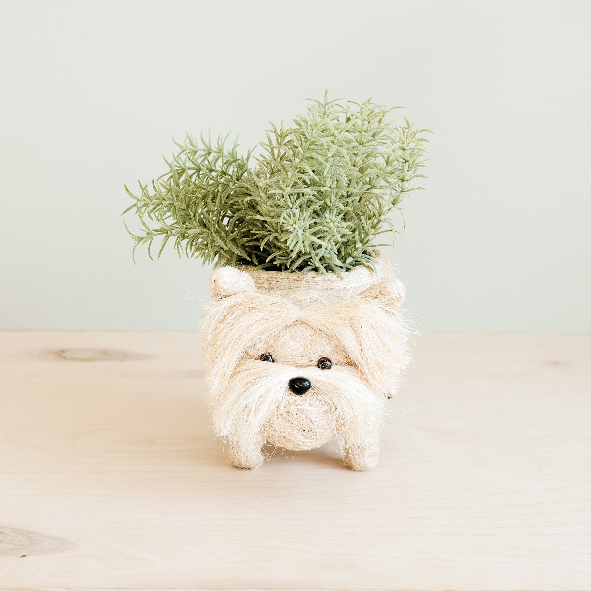 Planters - Westie Planter - Coco Coir Pots | LIKHÂ - LIKHÂ