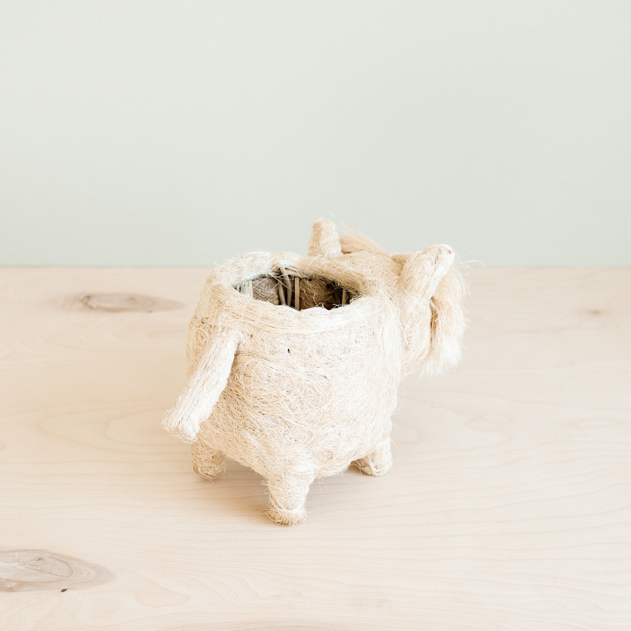 Planters - Westie Planter - Coco Coir Pots | LIKHÂ - LIKHÂ