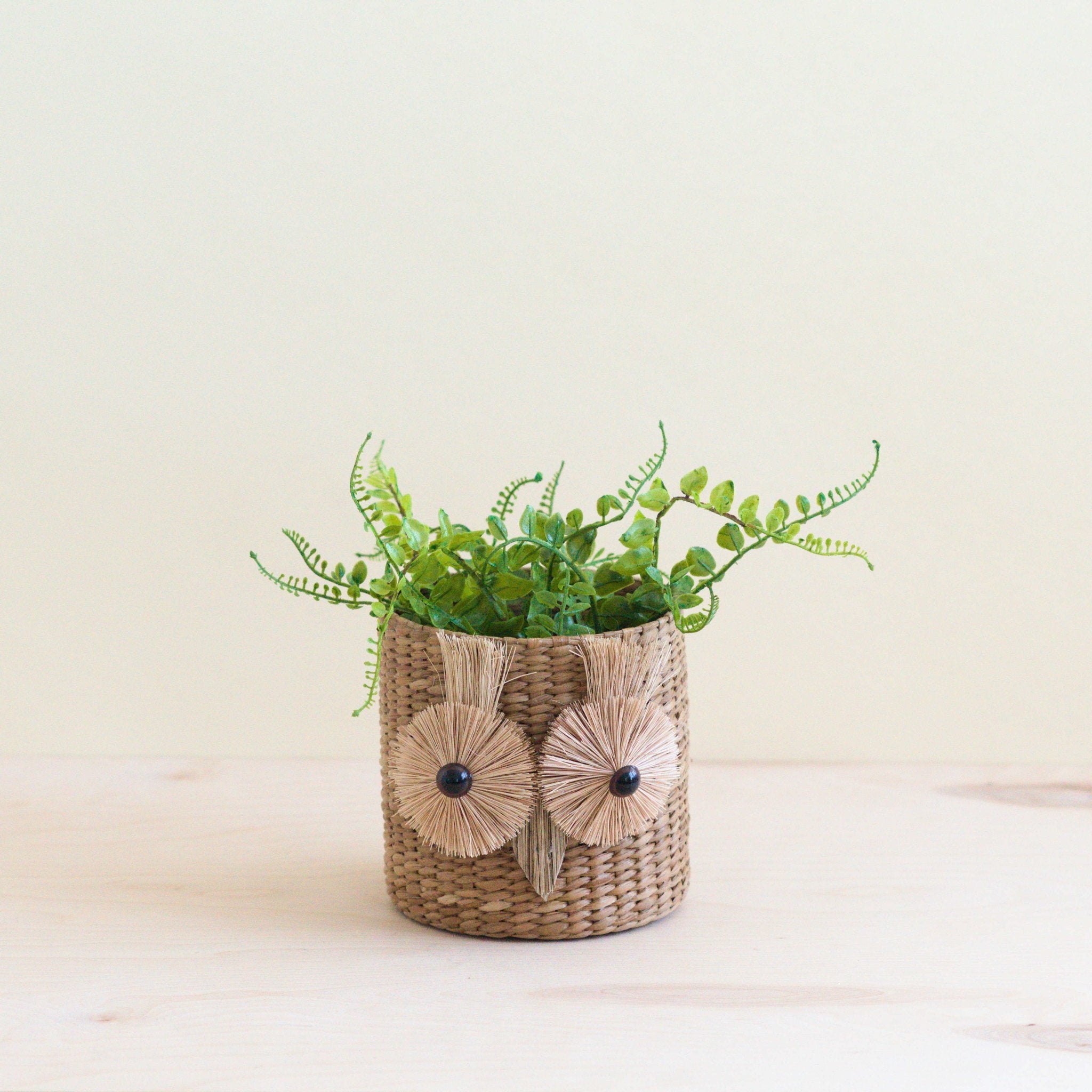 owl hanging planter Owl 6" Seagrass Basket Planter - Succulent Plant Pot