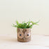 Pots & Planters - Owl 6" Seagrass Basket Planter - Succulent Plant Pot | LIKHA - LIKHÂ