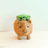 - Rhino Planter - Coco Coir Pot | LIKHA - LIKHÂ