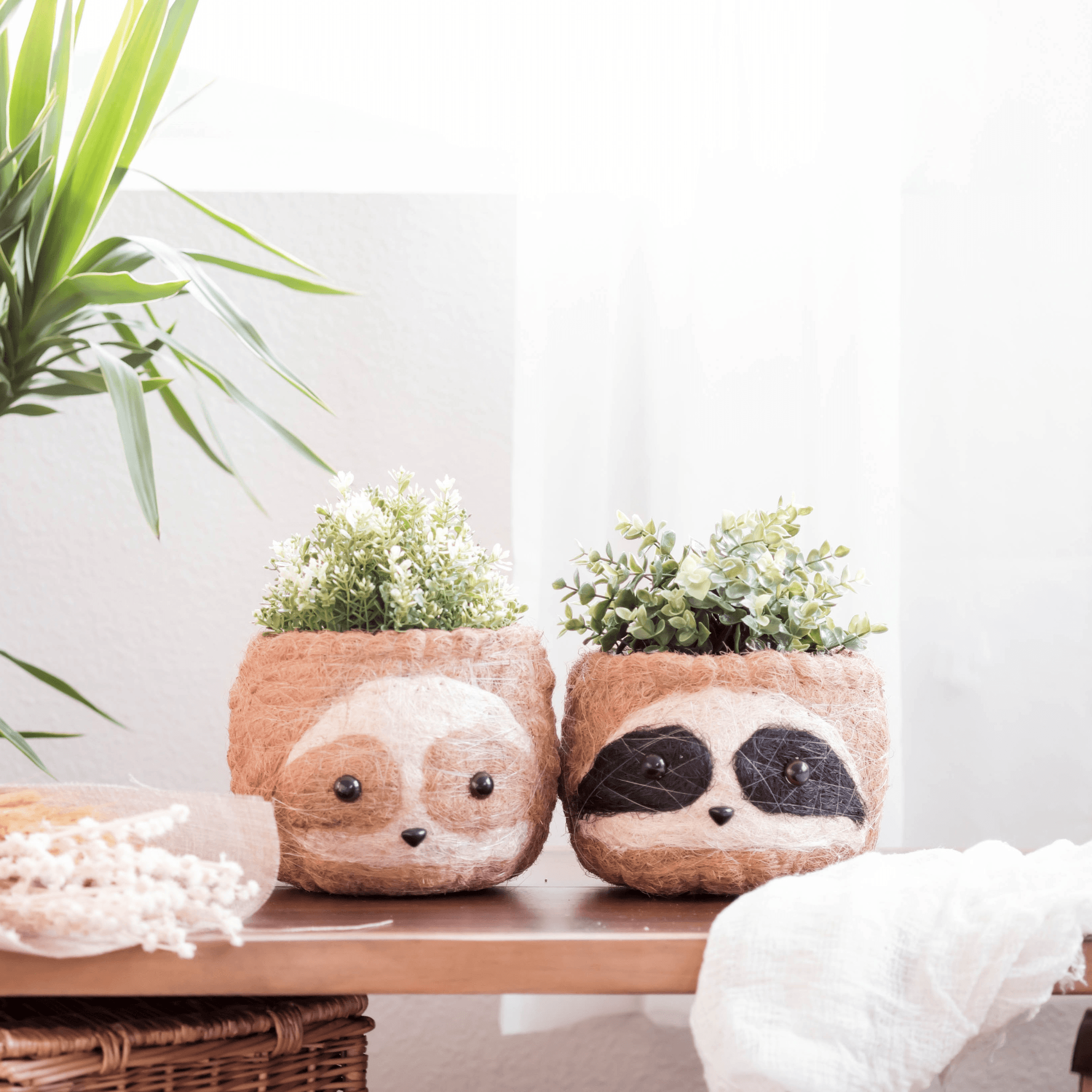 Decorating for Spring: How to Display House Plants - LIKHÂ