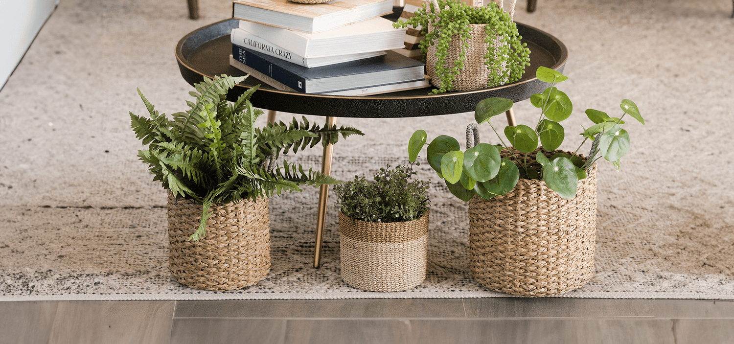 Plant Baskets - LIKHÂ