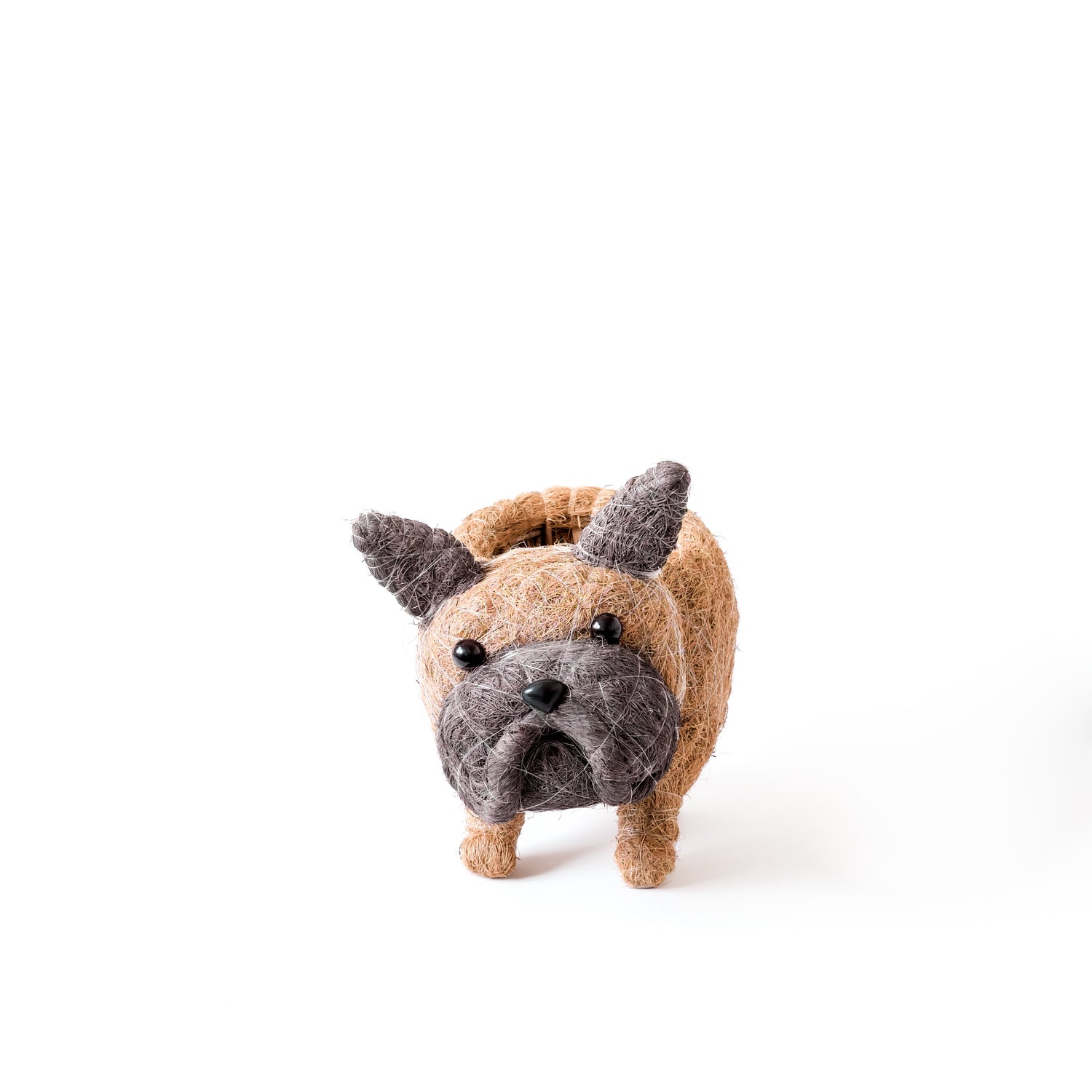 Baby French Bulldog Planter - Coco Coir Pots | LIKHÂ