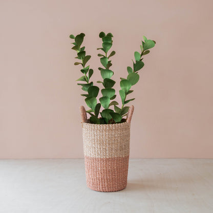 flower - Green Eucalyptus Corn Husk Sprigs, case of 6 – Decorative Foliage Stems | LIKHÂ - LIKHÂ