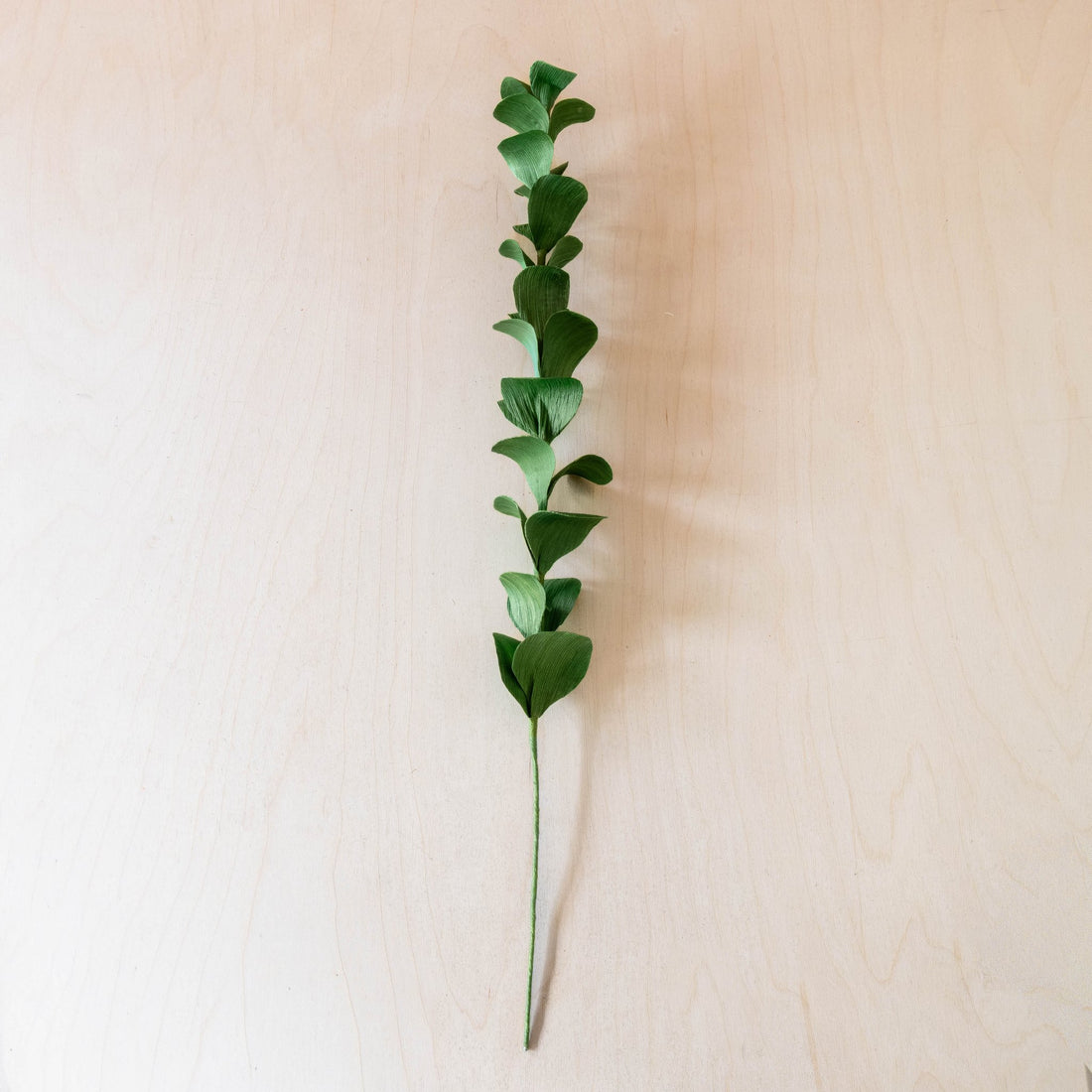 flower - Green Eucalyptus Corn Husk Sprigs, case of 6 – Decorative Foliage Stems | LIKHÂ - LIKHÂ