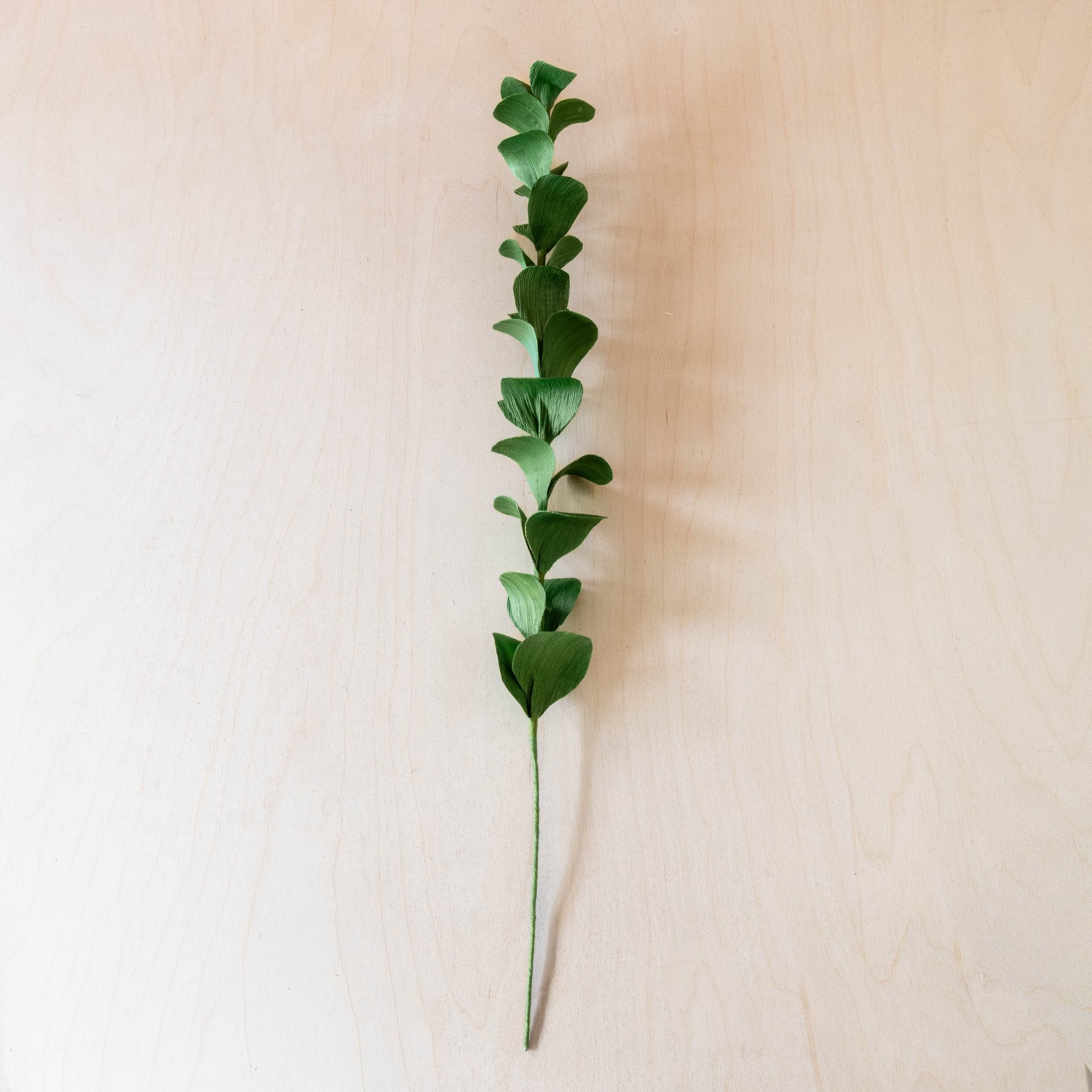 flower - Green Eucalyptus Corn Husk Sprigs, case of 6 – Decorative Foliage Stems | LIKHÂ - LIKHÂ