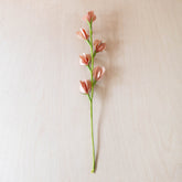 flower - Light Peach Pink Corn Husk Flower Branches, case of 6 – Handcrafted Flower Branches | LIKHÂ - LIKHÂ