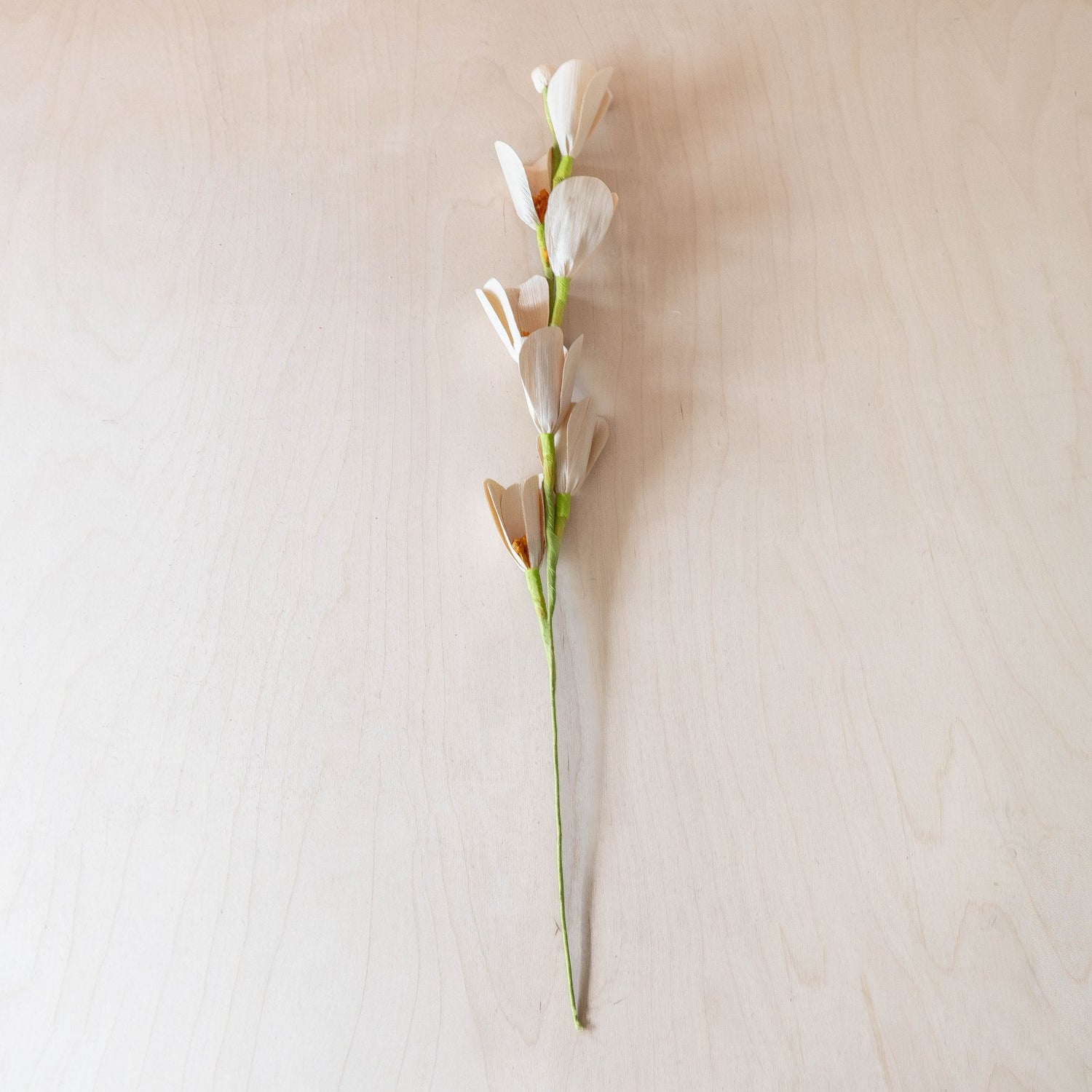 flower - Natural Orchid Corn Husk Flowers, case of 6 – Handcrafted Floral Stems | LIKHÂ - LIKHÂ