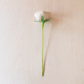 flower - Natural Peony Corn Husk Flowers, case of 6 – Artisan Flower Stems | LIKHÂ - LIKHÂ