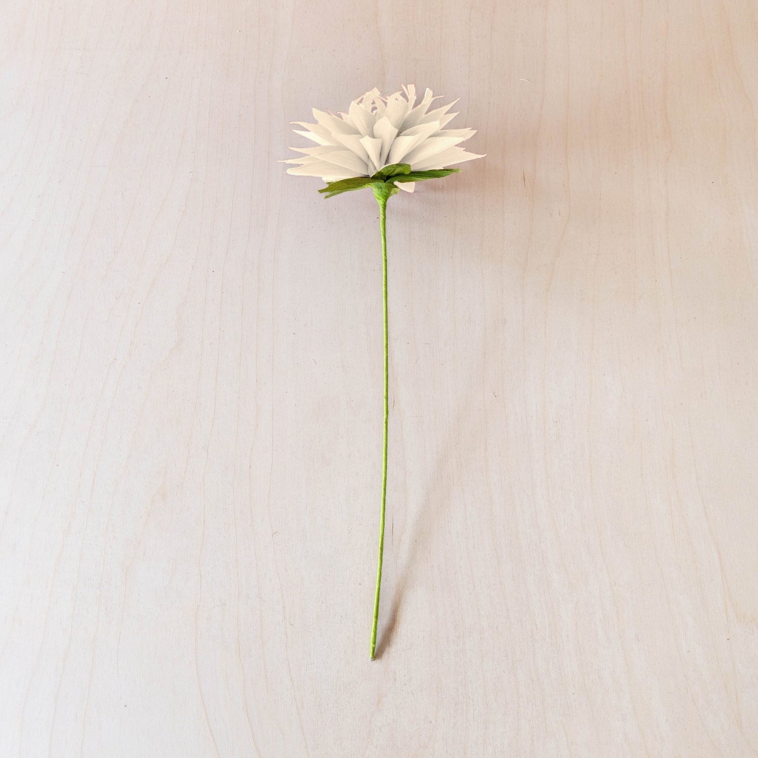 flower - Natural Waterlily Corn Husk Flowers, case of 6 – Decorative Flower Stems | LIKHÂ - LIKHÂ