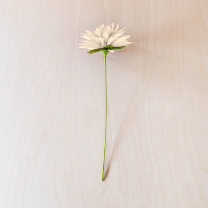 flower - Natural Waterlily Corn Husk Flowers, case of 6 – Decorative Flower Stems | LIKHÂ - LIKHÂ