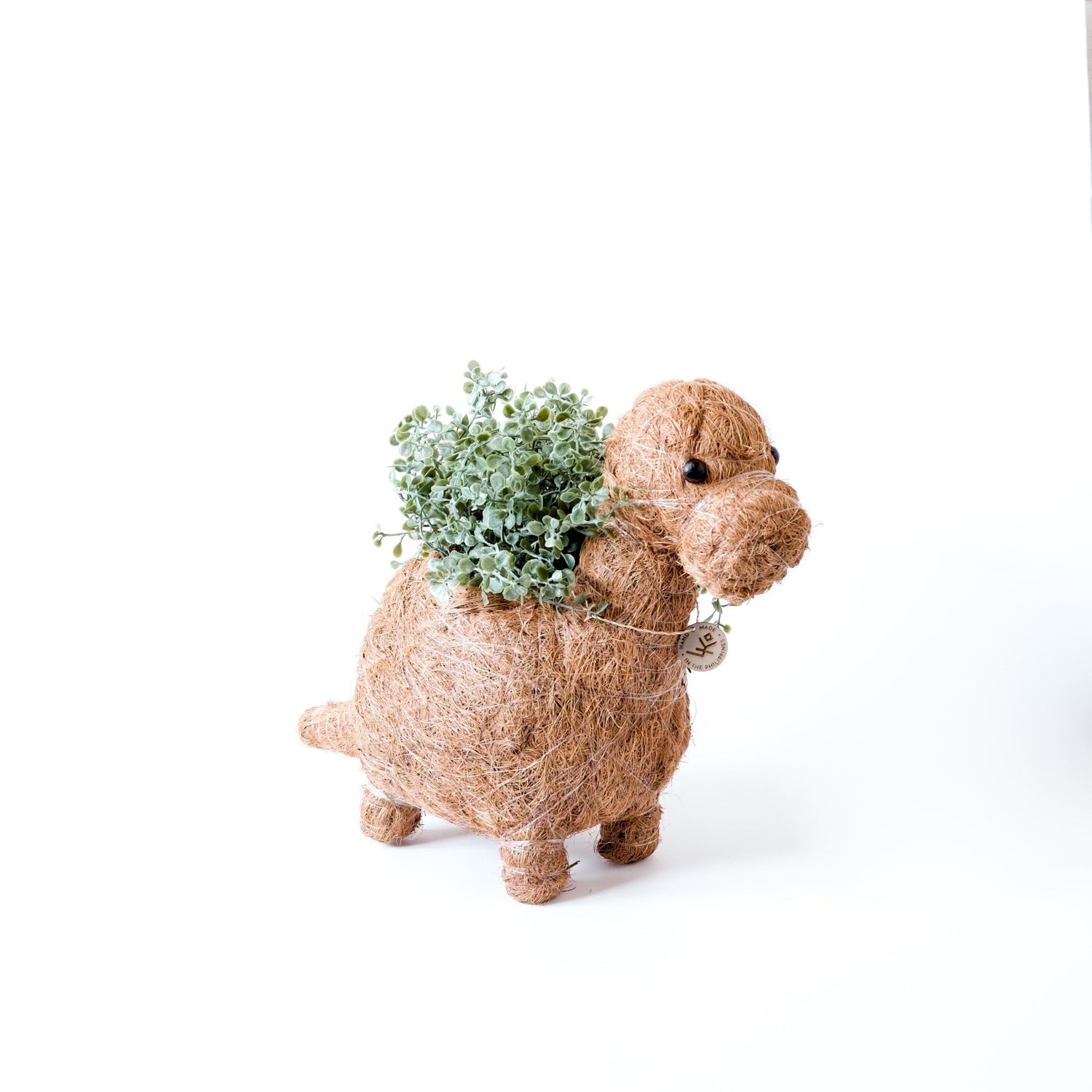 Planters - Baby Brontosaurus Planter - Handmade Pots | LIKHÂ - LIKHÂ