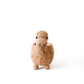 Planters - Baby Brontosaurus Planter - Handmade Pots | LIKHÂ - LIKHÂ