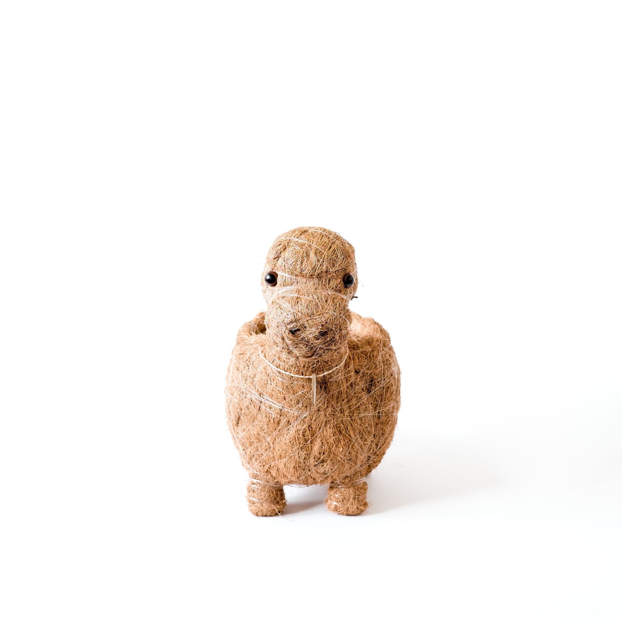 Planters - Baby Brontosaurus Planter - Handmade Pots | LIKHÂ - LIKHÂ