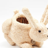 Planters - Baby Bunny Planter - Coco Coir Pots | LIKHÂ - LIKHÂ