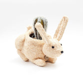 Planters - Baby Bunny Planter - Coco Coir Pots | LIKHÂ - LIKHÂ
