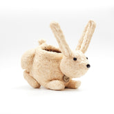 Planters - Baby Bunny Planter - Coco Coir Pots | LIKHÂ - LIKHÂ
