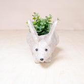 Planters - Baby Bunny Planter - Coco Coir Pots | LIKHÂ - LIKHÂ