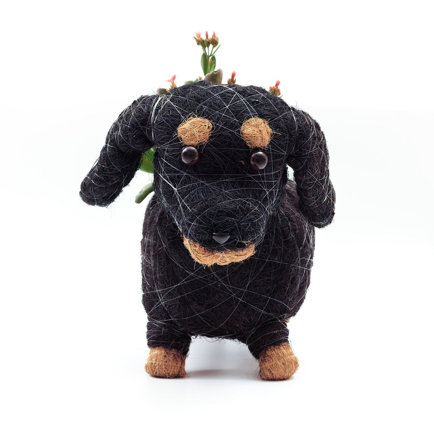 Planters - Baby Dachshund - Coco Coir Pots | LIKHÂ - LIKHÂ